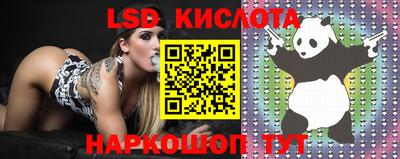 дживик Новозыбков