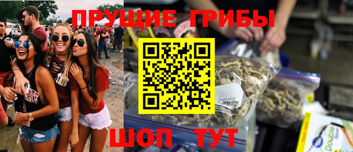Псилоцибиновые грибы GOLDEN TEACHER  Вход с VPN  Псилоцибиновые грибы MAGIC MUSHROOMS  Партизанск 